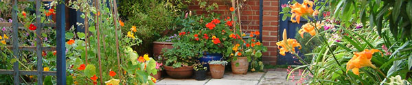 north facing edwardian townhouse courtyard garden